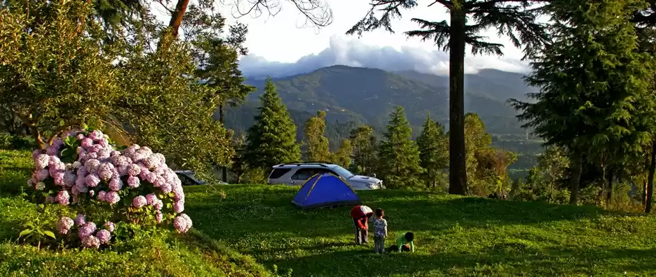 Photo of 7 Least Searched Des