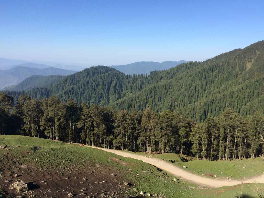 Shoja-Jalori Pass (Himachal Pradesh), Comprehensive Guide to Visit ...