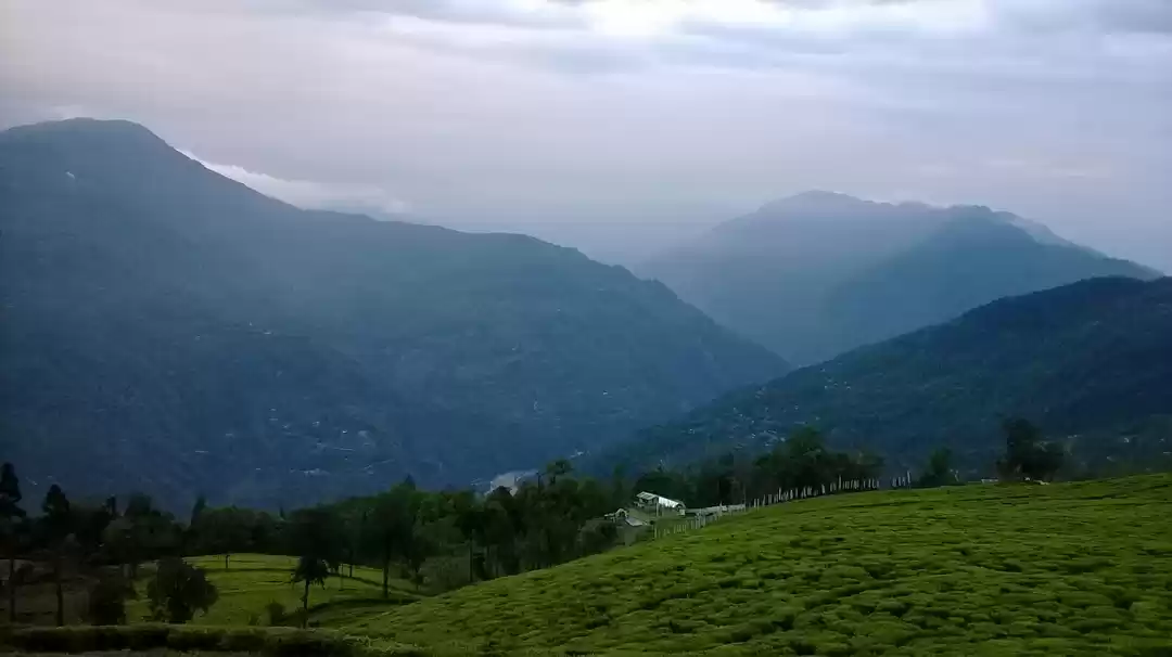 Photo of Memoirs from an all 