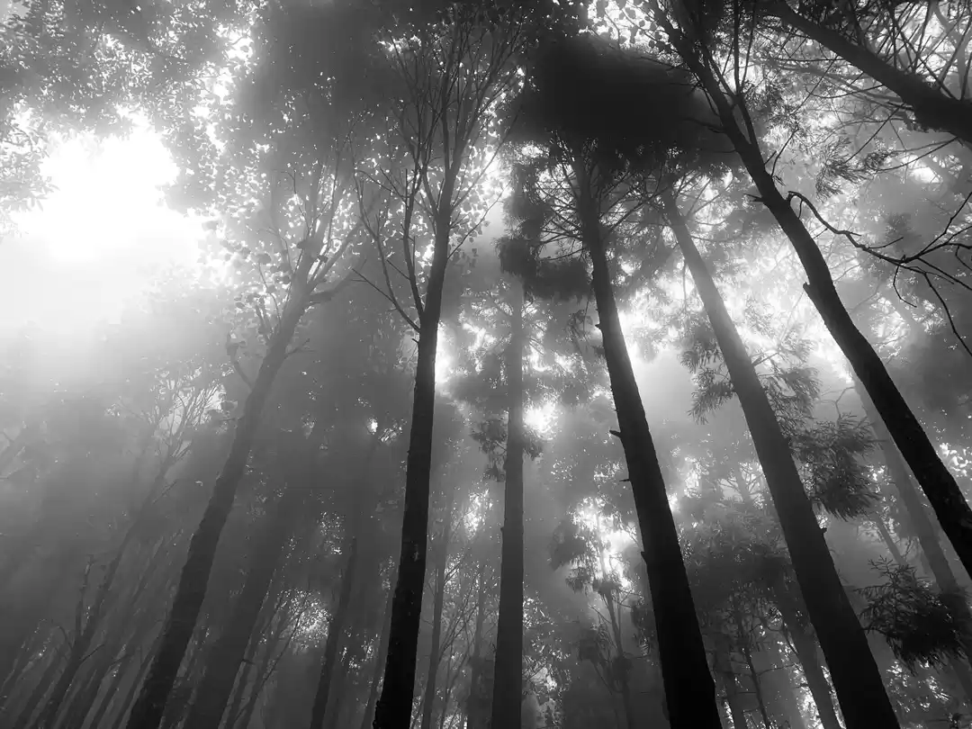 Photo of Soulful Tinchuley