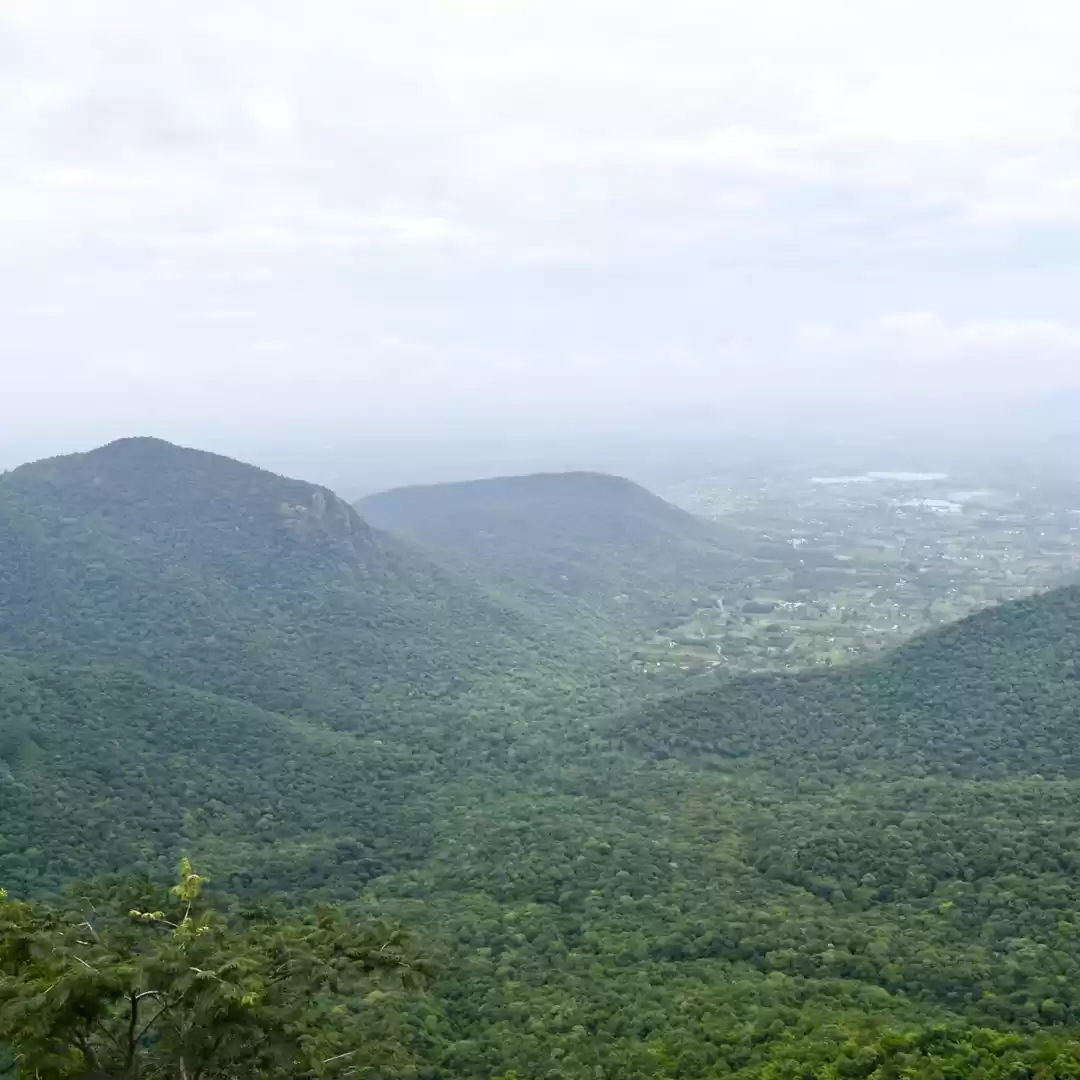 Photo of A road trip around Y