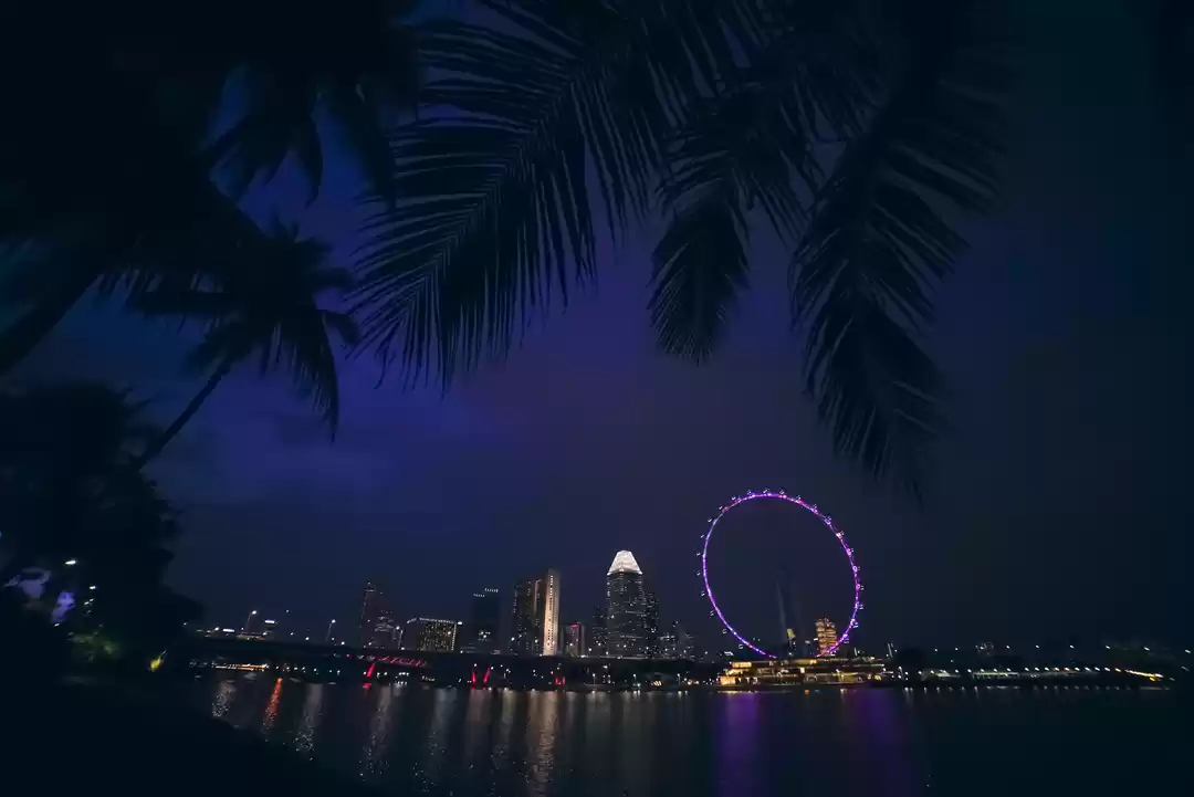 Photo of Singapore by foot.