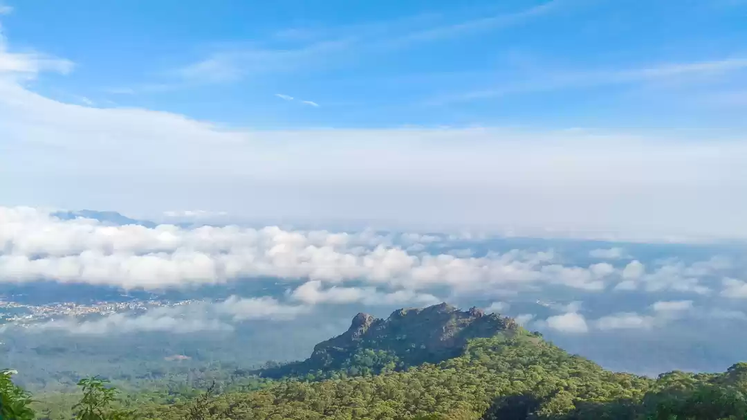 Photo of Nilgiri hills