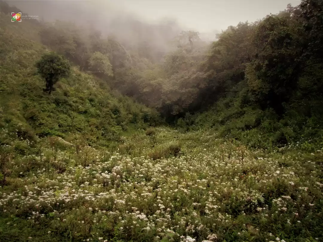 Photo of 5 Basic Trekking/Hik