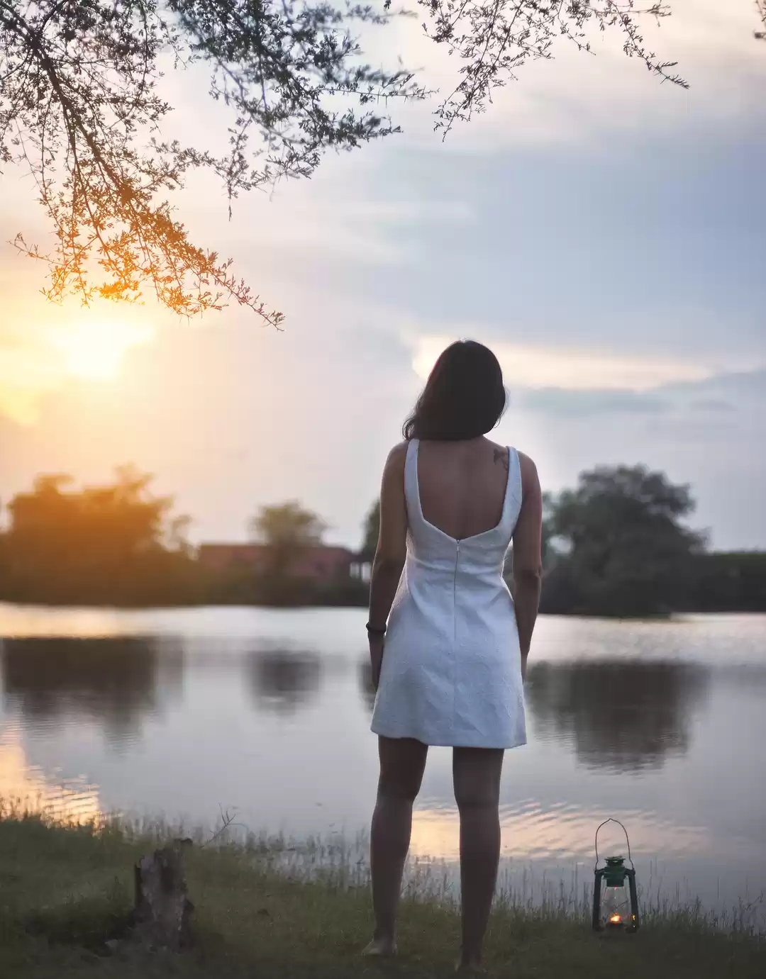 Photo of The city of Bikaner