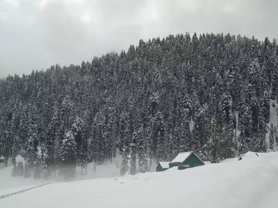 Photo of Skiing and Gulmarg g