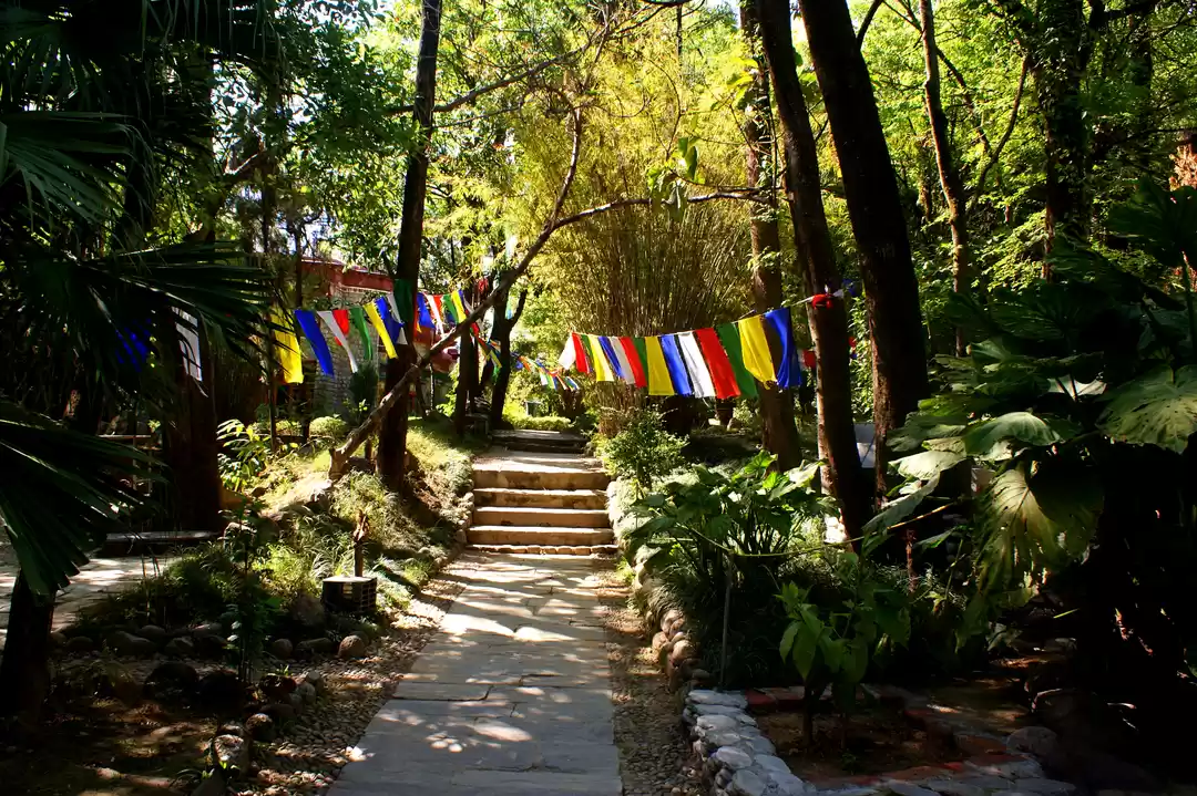 Photo of Tranquility at Dhara