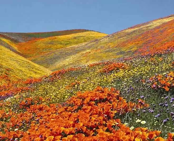 Photo of उत्तराखंड में ही नही