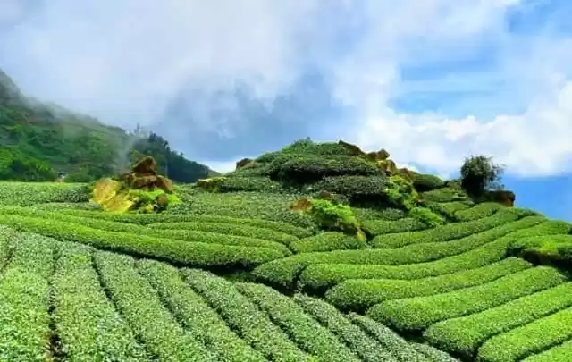 Photo of दार्जिलिंग टूरिज्म क