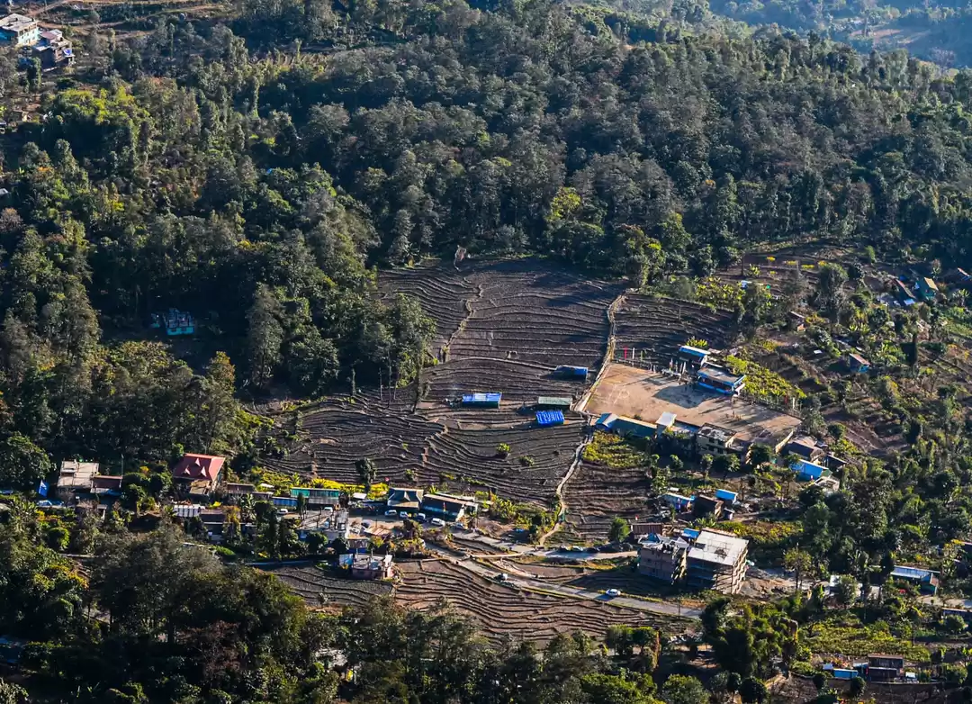 Photo of Lower Pelling