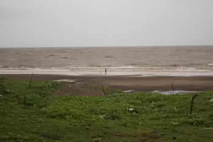 Photo of Bordi beach : The We