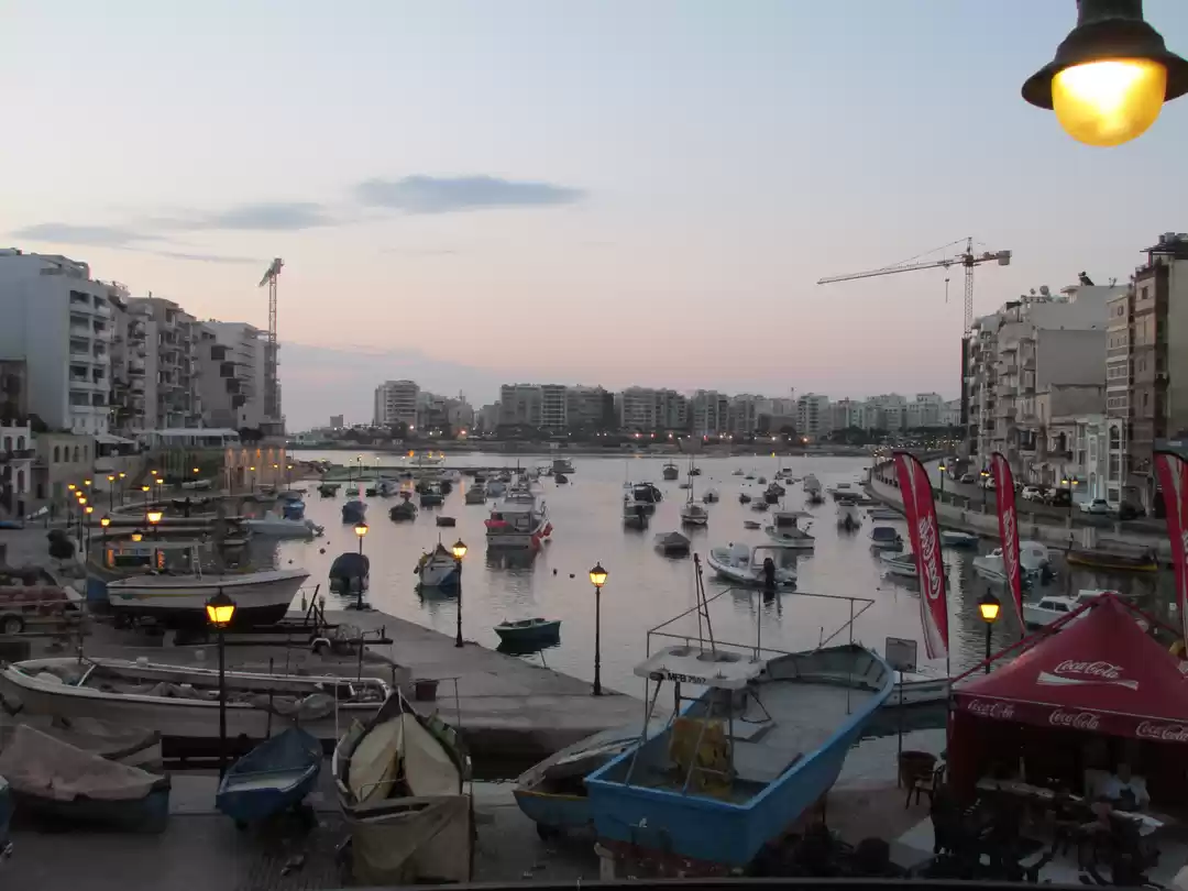 Photo of No Mice in Malta