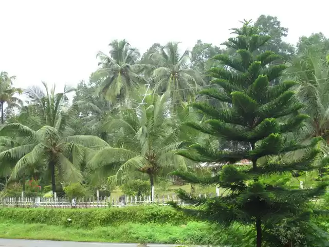 Photo of Truly God's Own Coun