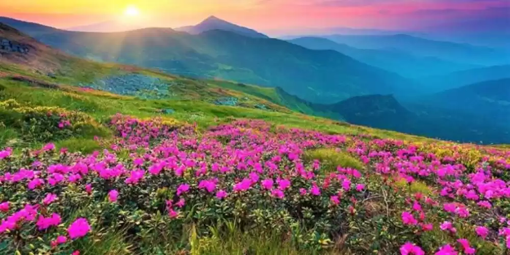 Photo of हर मौसम के साथ बदलता