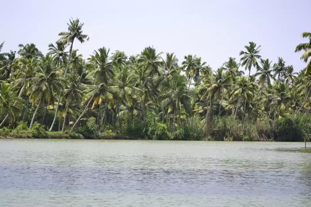Photo of Poovar Backwaters – 