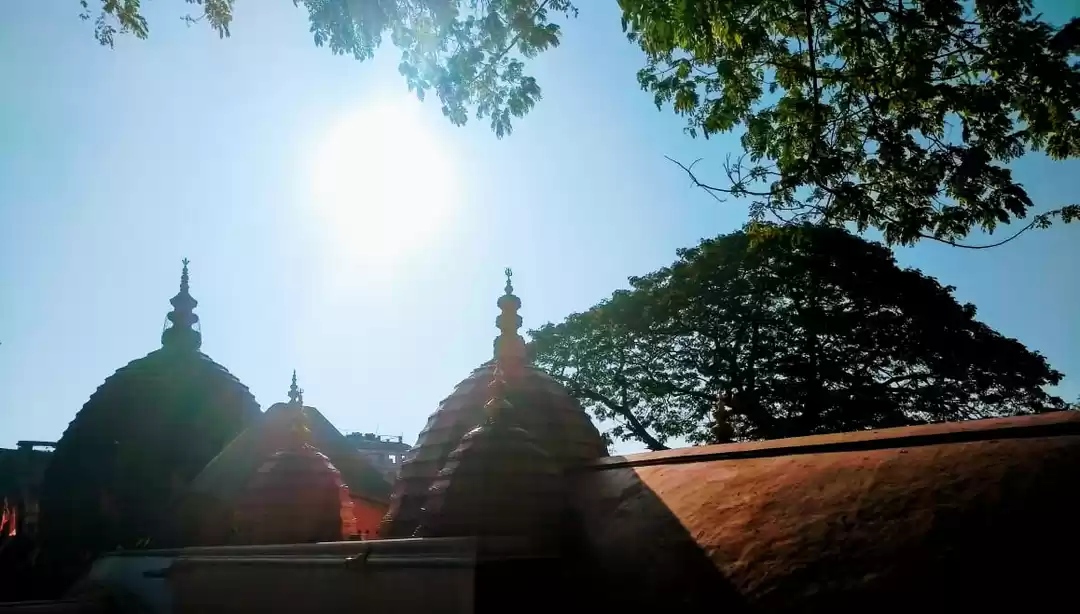 Photo of प्रकृति के बीच आध्या