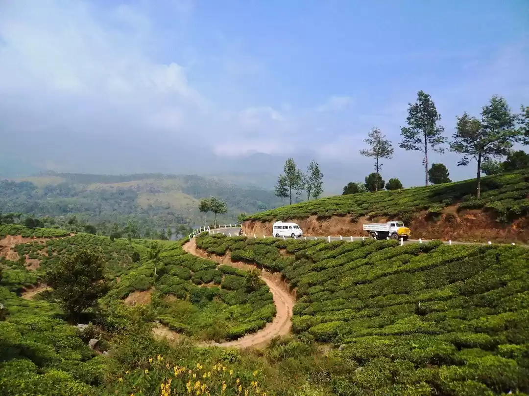 Photo of मुन्नार घूमने के लिए