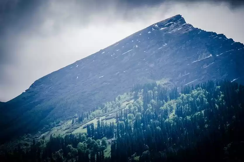 Photo of घूमने के लिए नहीं चा