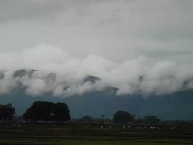 Photo of बिहार में भी छिपा है