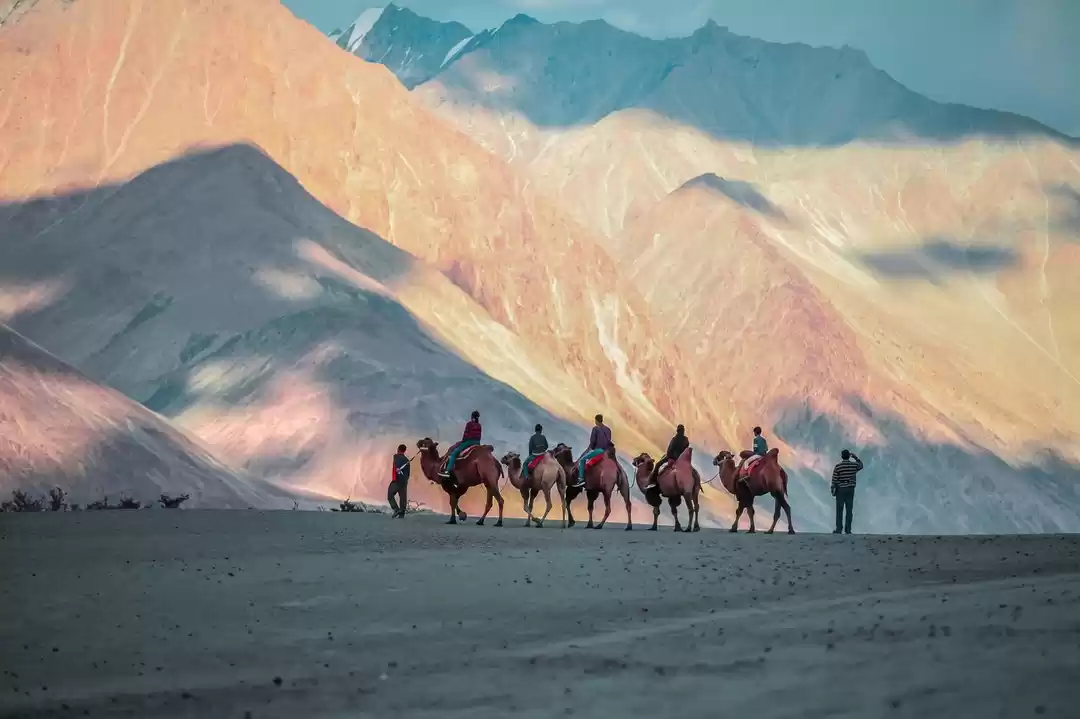 Photo of नुब्रा घाटी: भारत की