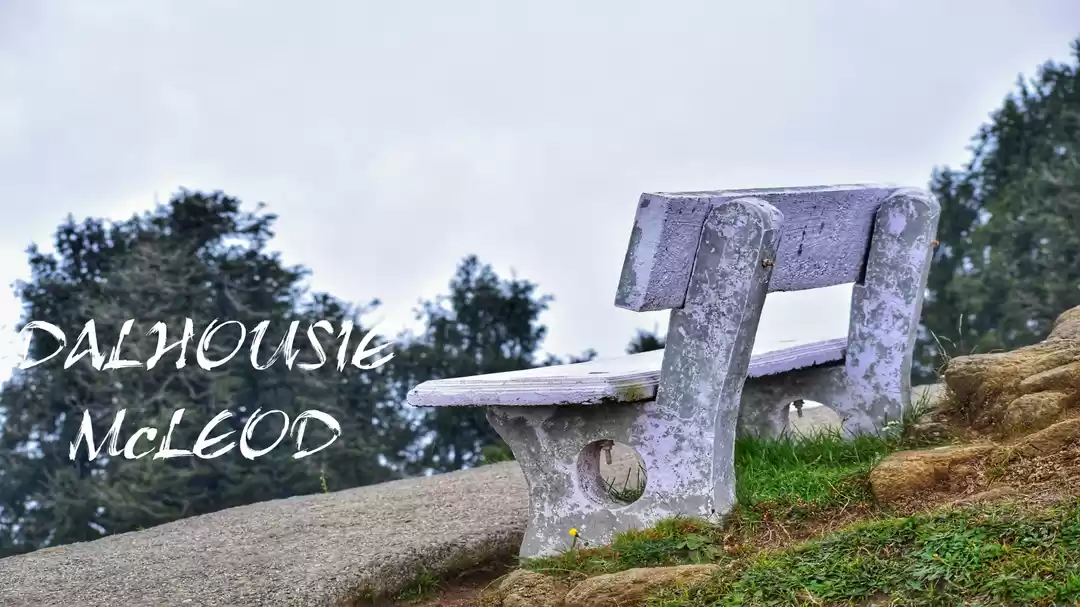 Photo of Day 5 : A 'Trip'ping