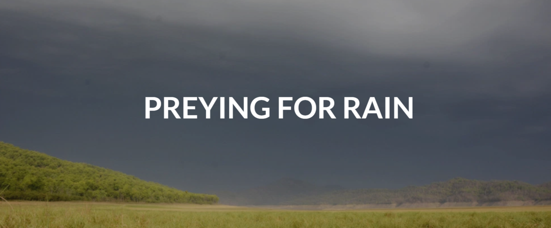 Photo of Preying for Rain