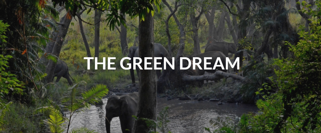 Photo of The Green Dream