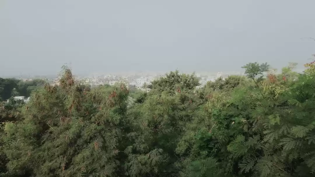 Photo of "लिली परिक्रमा"