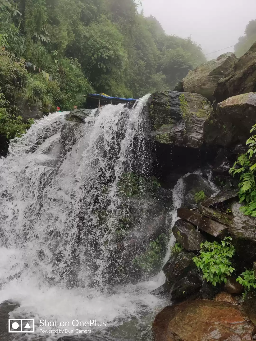 Photo of Dreamy Mcleoadganj