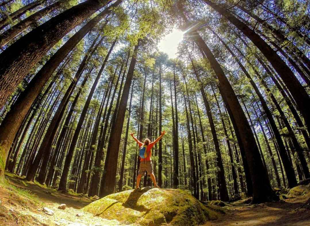 Top 5 things to do at Manali - Tripoto