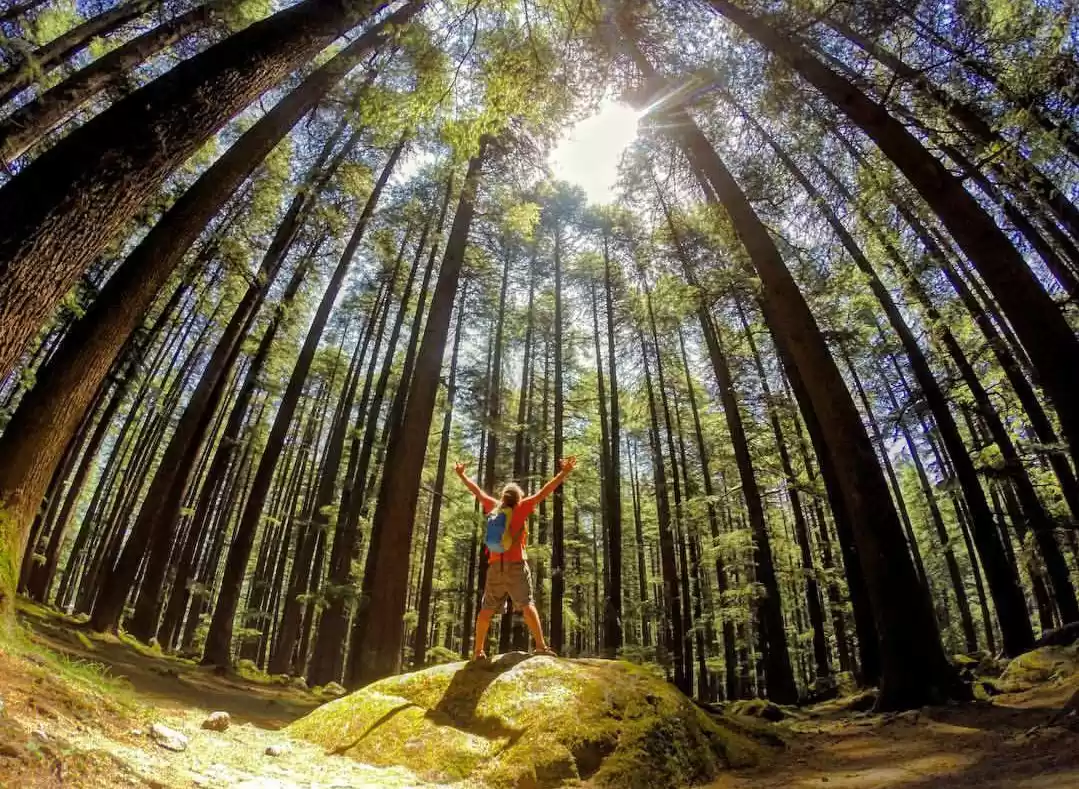 Photo of Top 5 things to do a