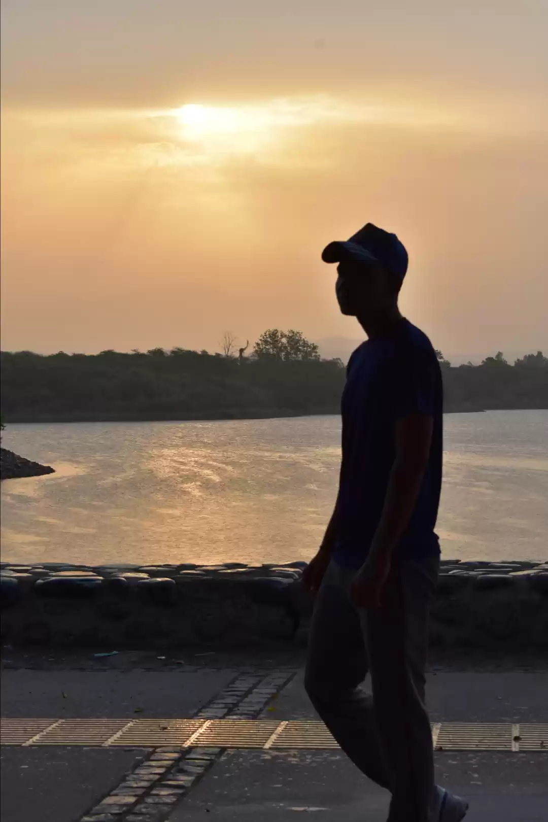 Photo of Chandigarh Rocks 