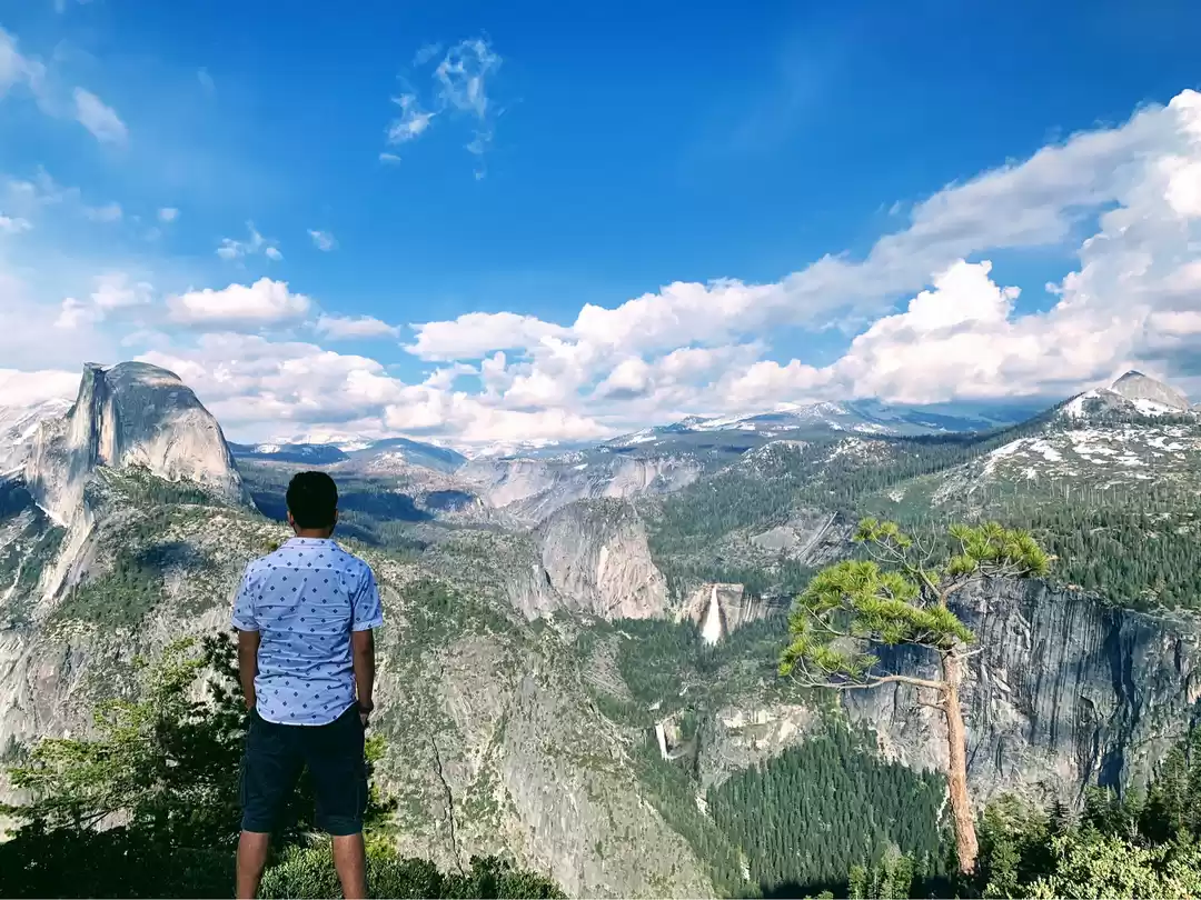 Photo of Yosemite and Sequoia