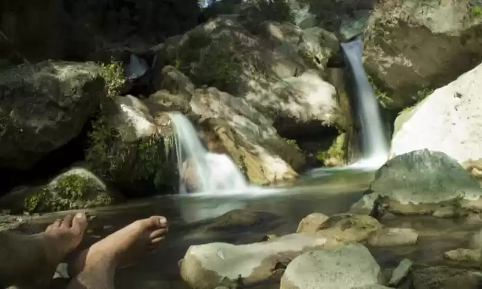 Photo of Shikhar Fall:Picnic 