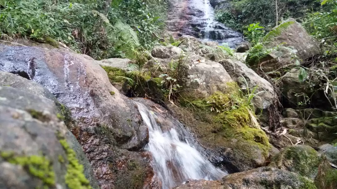 Photo of A trip to Manjolai #