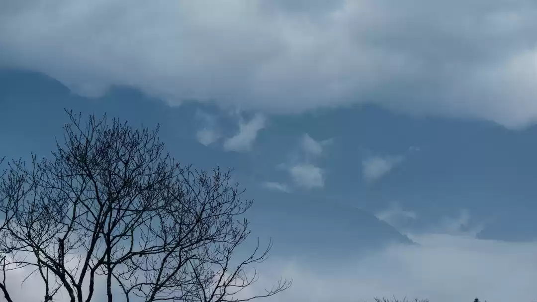 Photo of Tháng 1 ghé thăm Sap