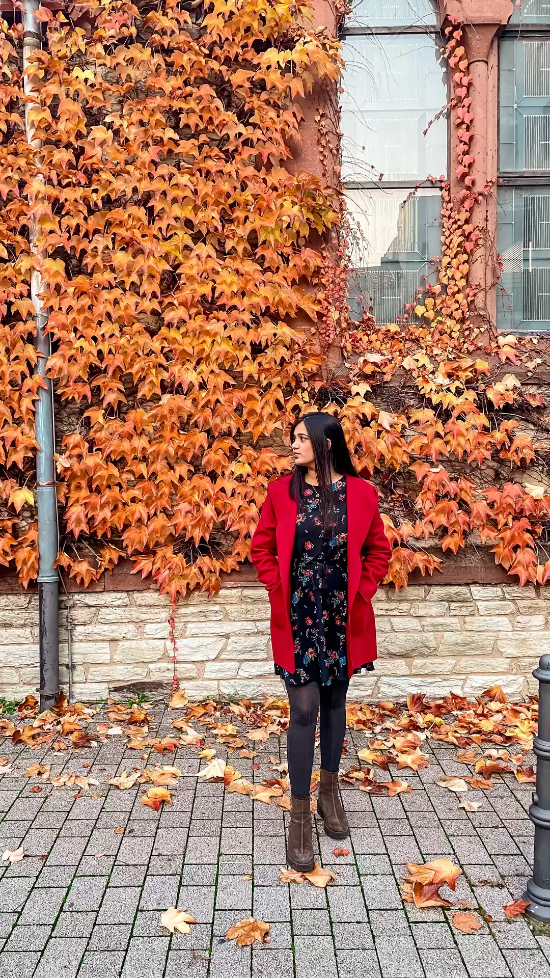 Photo of Autumn in Germany #W