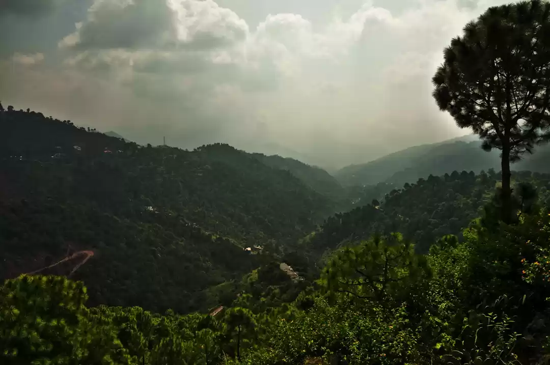 Photo of Why Kasauli Should B