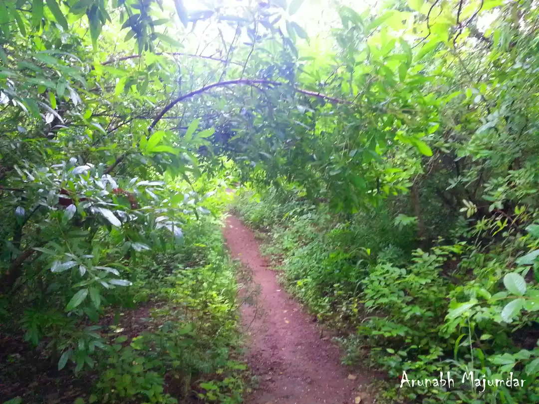 Photo of Lonar-Travelling to 