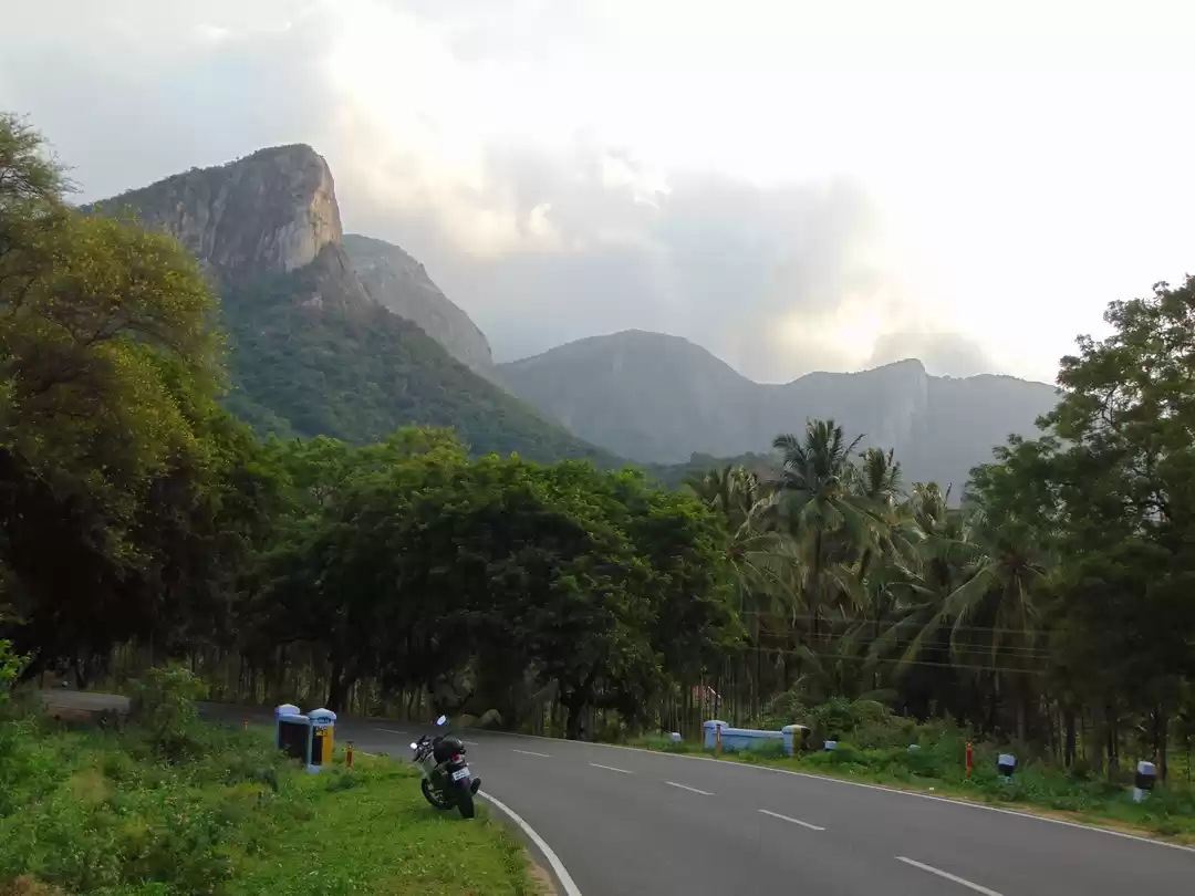 Photo of Munnar, Monsoon & Bi