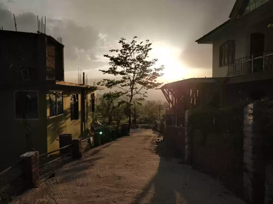 Photo of Flying High Without 