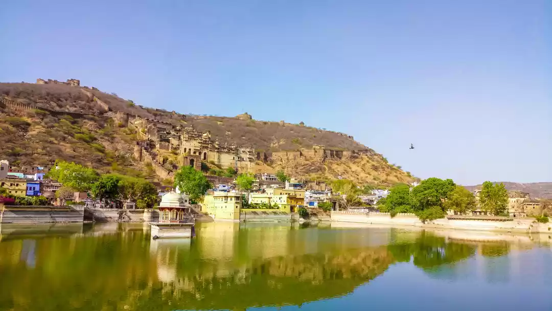 Photo of Why Always Land of t