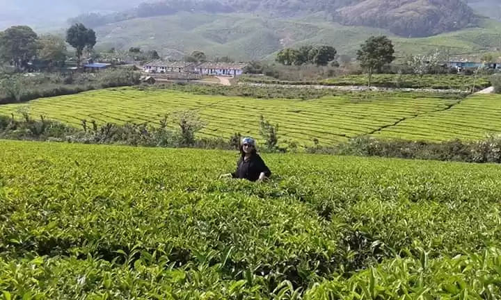 Photo of Kerala Part 1: Munna