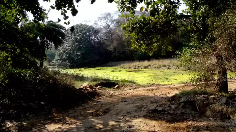 Photo of Ranthambore National