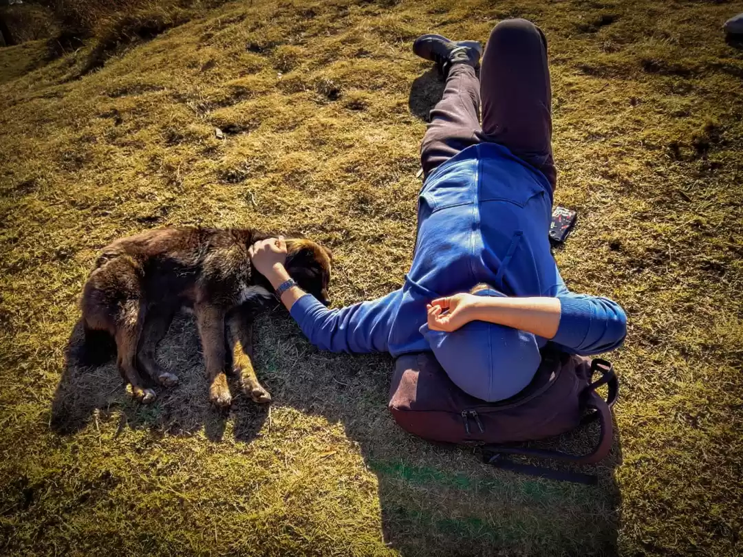 Photo of Little things about 