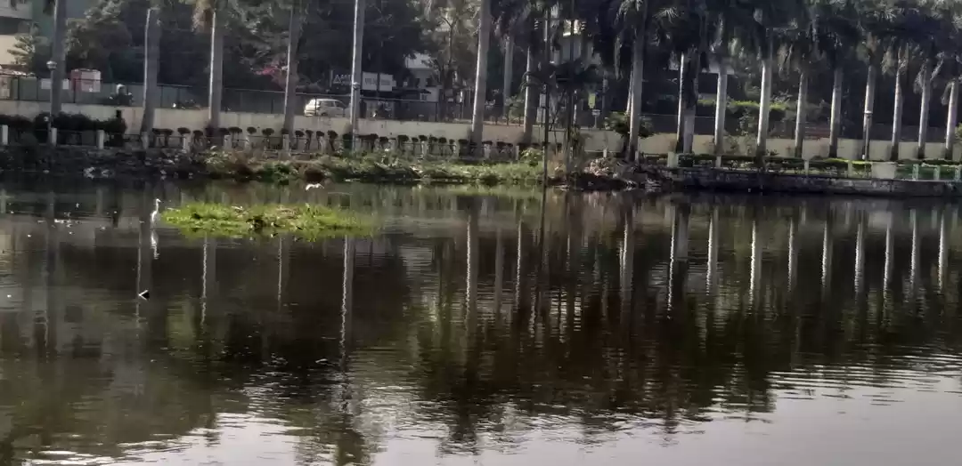 Photo of shahpura lake at Bho