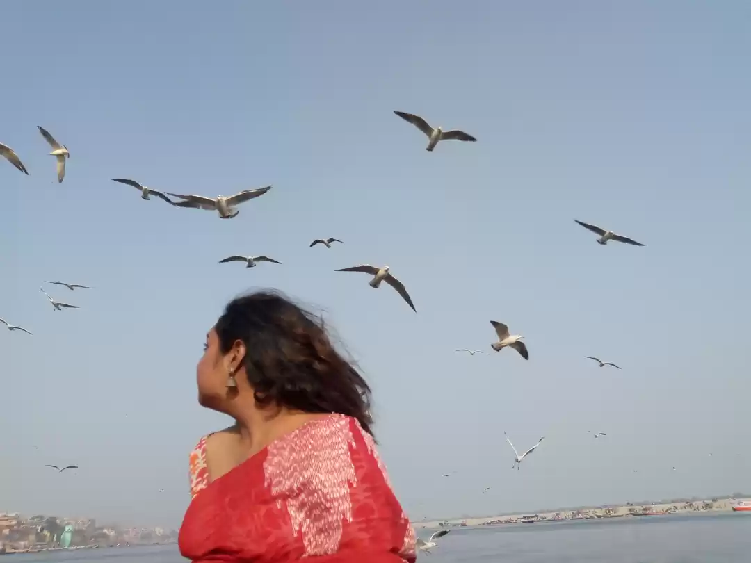 Photo of PIECE OF PEACE