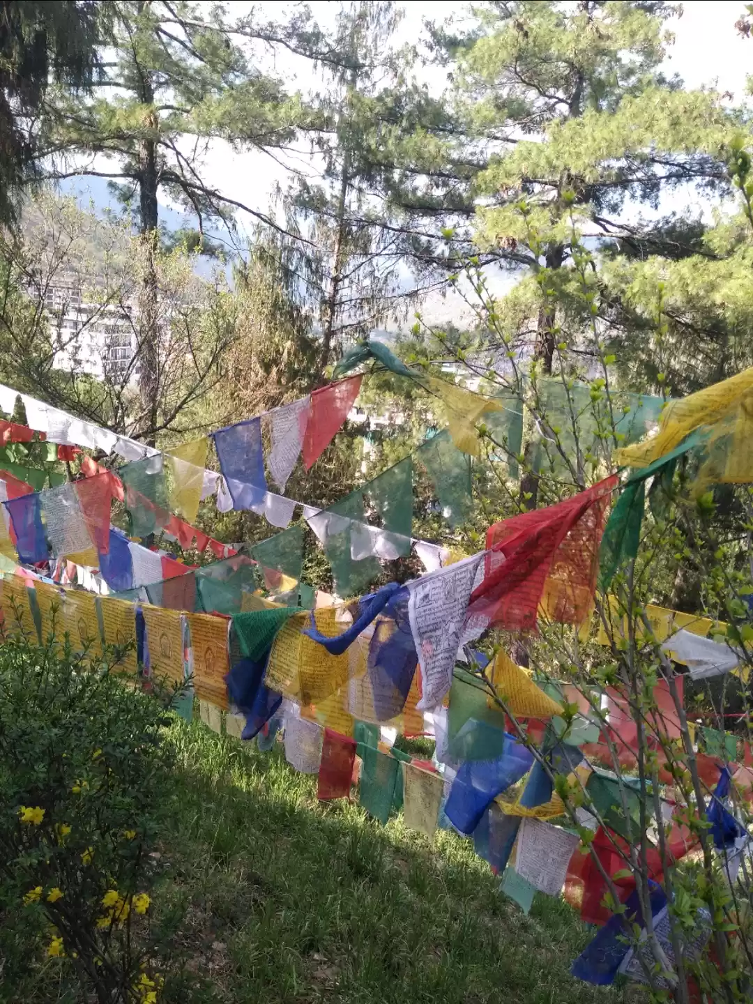 Photo of Breathtakingly beaut