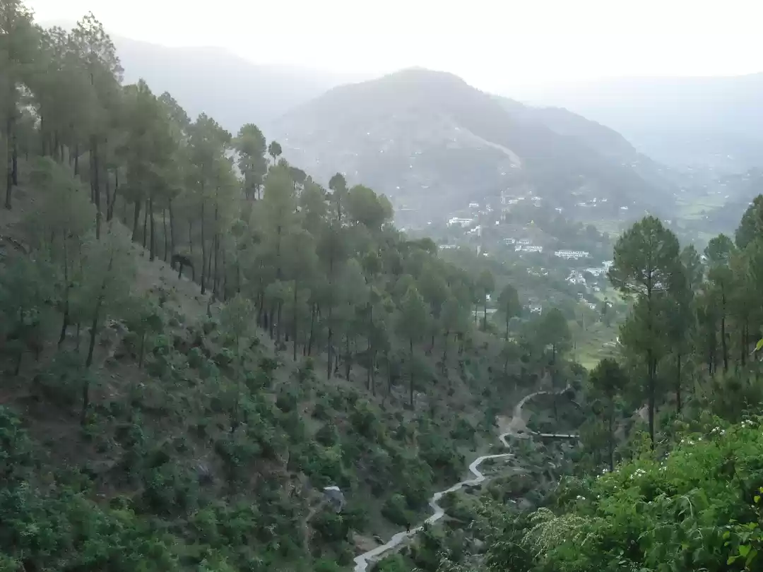 Photo of Binsar - Untouched, 