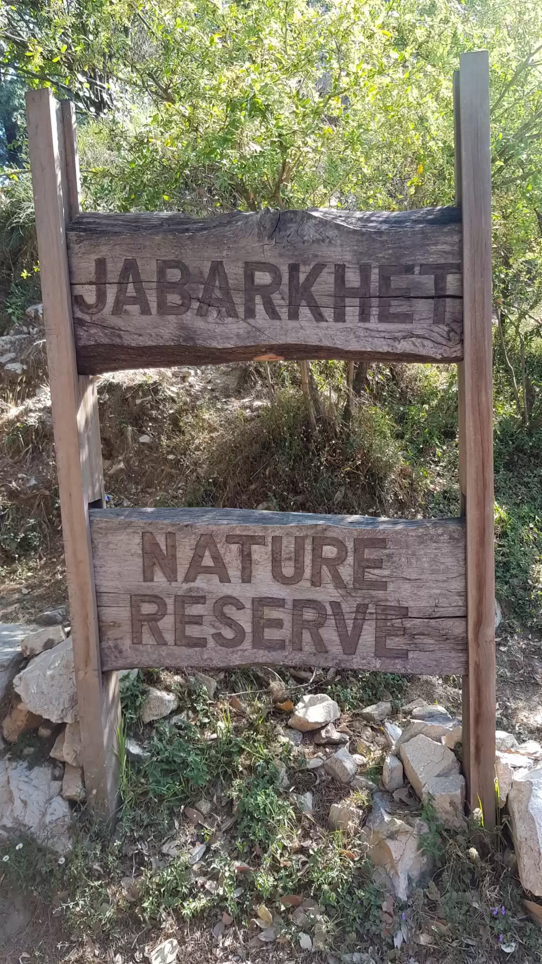 Photo of Jabarkhet Nature Res